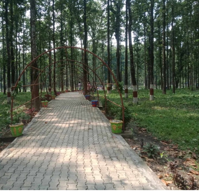 उपभोक्ताद्वारा `मागुरमाडी सिमसार तथा पर्यटकीय क्षेत्र’ मा सरसफाई 