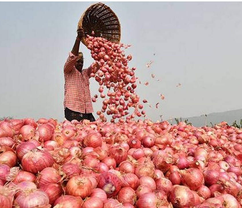 चीनबाट भित्रिन थालेपछि प्याजको मूल्य घट्यो