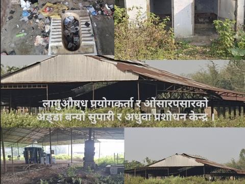 जीर्ण उद्योगमा दुर्ब्यशनीको अखडा, असुरक्षित भएको स्थानीयको गुनासो: भिडियोसहित 