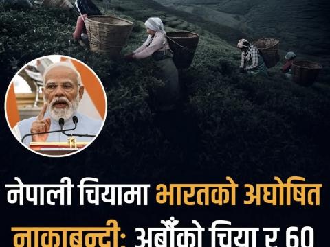 भारत सरकारले नेपाली चियालाई अघोषित नाकाबन्दीले चिया उत्पादक र मजदुर प्रभावित 