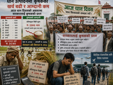 `उत्पादनभन्दा लागत महँगीले खेत बाँझै राख्नुपर्‍यो’