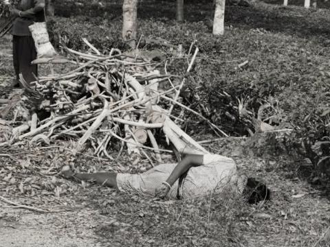 अत्याधिक गर्मीका कारण झापामा एक जनाको मृत्यु 